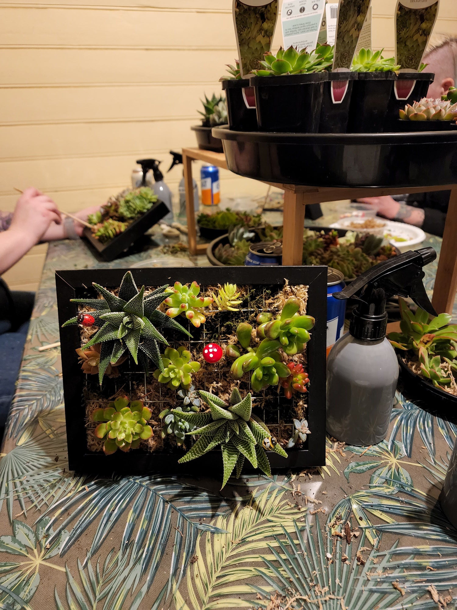 Vertical Succulent Garden Workshop for Beginners