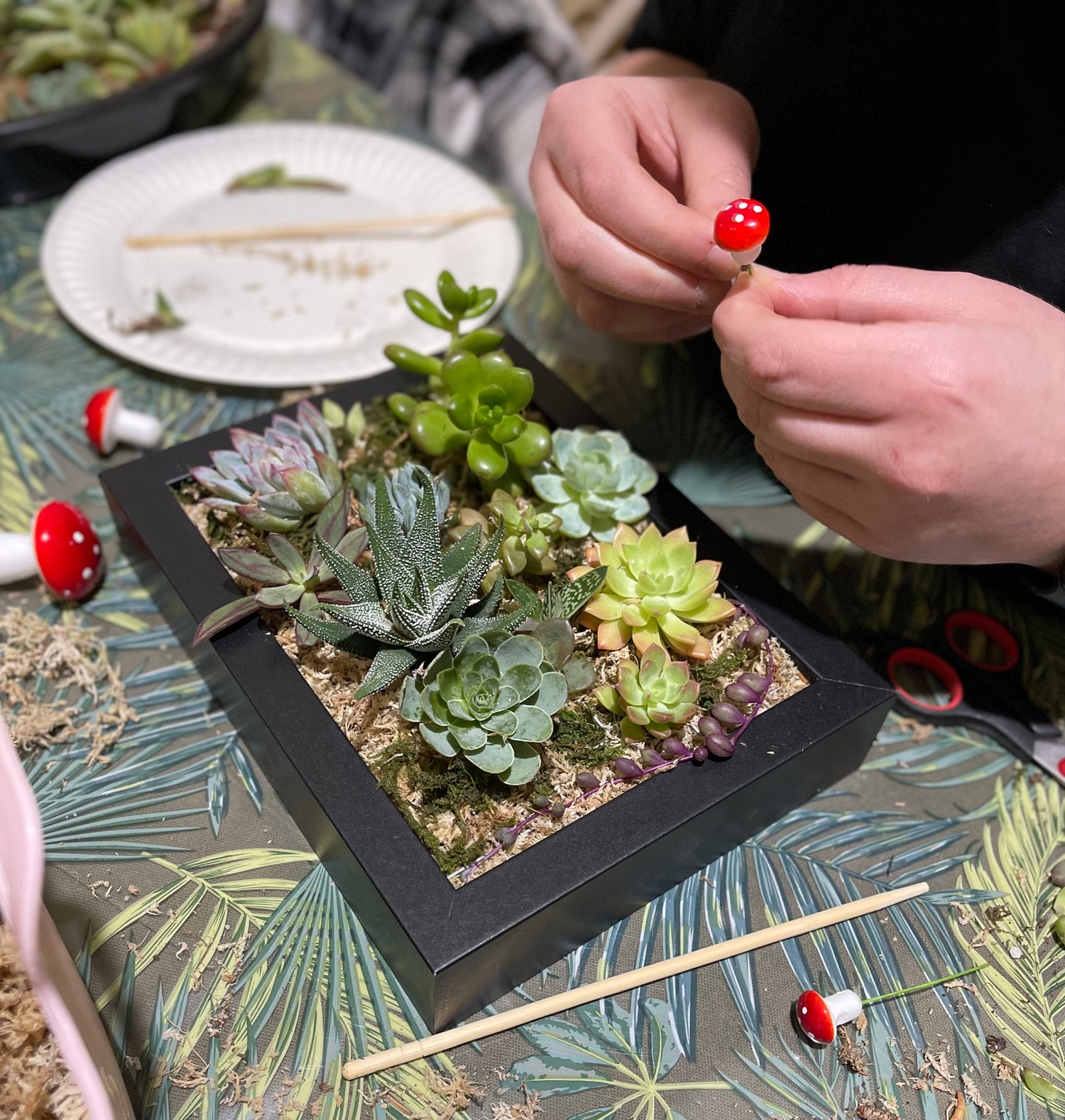 Vertical Succulent Garden Workshop for Beginners