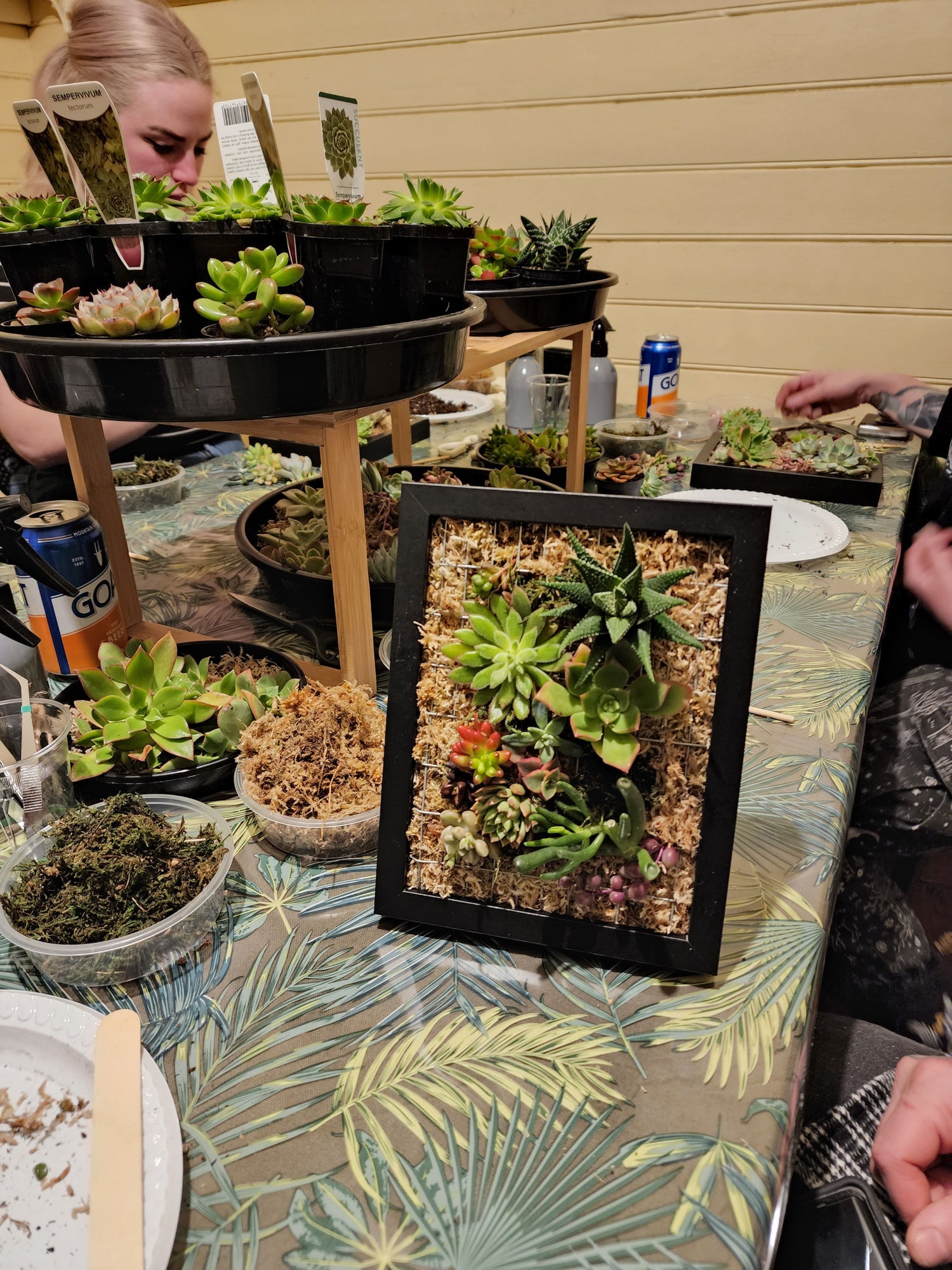 Vertical Succulent Garden Workshop for Beginners